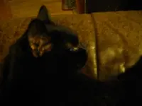 IMGP6236.webp