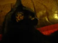 IMGP6235.webp