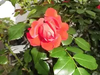 DSCI2945.webp