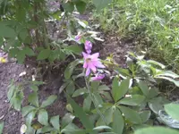 BILD9680.webp