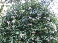 BILD9689.webp