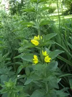 BILD9691.webp