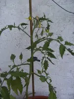 BILD9704.webp