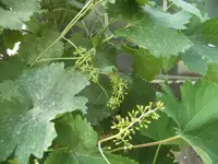BILD9697.webp