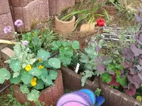 Bilder2018 Handy 2376.jpg