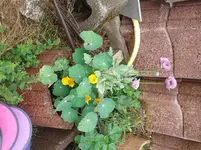 Bilder2018 Handy 2375.webp
