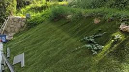 IMG_20180530_155227.webp