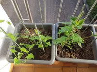 20180530_190509 1.jpg