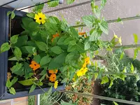 Bilder2018 Handy 3773.webp