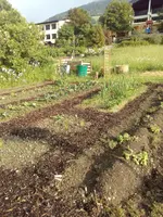 IMG_20180530_073427.webp