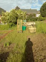 IMG_20180518_073359.webp