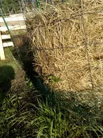 IMG_20180528_071450.webp