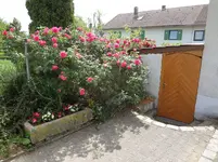 DSC03023.jpg