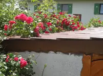 DSC03026.jpg