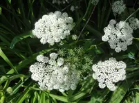 DSC03019.webp