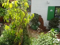 DSC03020.jpg