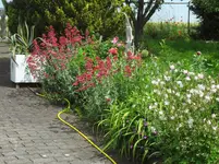 DSC03013.webp