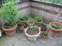 IMG_6169.jpg