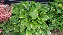 20180531_115642.webp