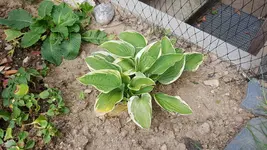 20180531_115740.webp