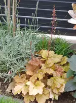 20180531_121635.webp