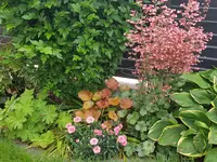 20180531_121717.webp