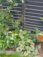 20180531_123815.webp