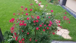 20180531_125249.webp