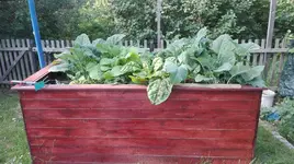 IMG_20180523_171601.webp