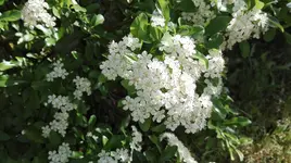 IMG_20180523_170845.webp