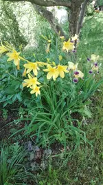 IMG_20180523_164147.webp