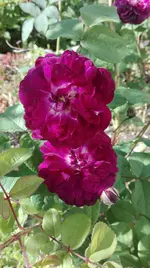 IMG_20180523_163854.webp