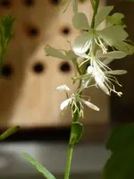 P1030801.webp