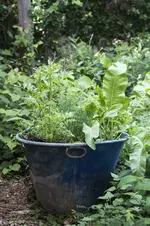 garten-wanne-1.webp