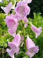 IMG_20180527_184919 (2).webp
