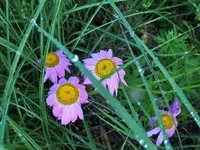 DSCF1164 (2).webp