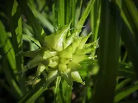 DSCF1157 (2).webp