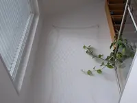 DSCN3228.webp