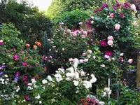 IMG_20180528_194029.jpg