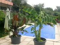 P1120551-kl.webp