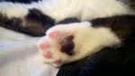WP_20161216_001.jpg