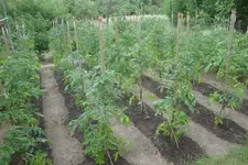 k-DSC09837.JPG