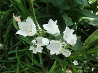 DSC03047.JPG
