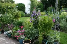 Terasse  0518.webp