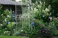 Juni0218.jpg