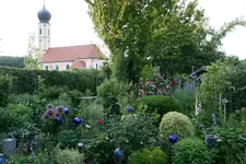Juni0318.webp