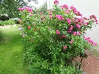 DSC03041.webp