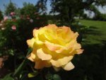 DSC03027.JPG