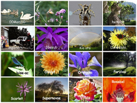 Mai 2018 Schoenheiten - Copy.webp
