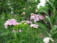 IMG_6195.jpg